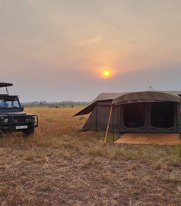 Glamping Spot Savanne im Abendlicht
