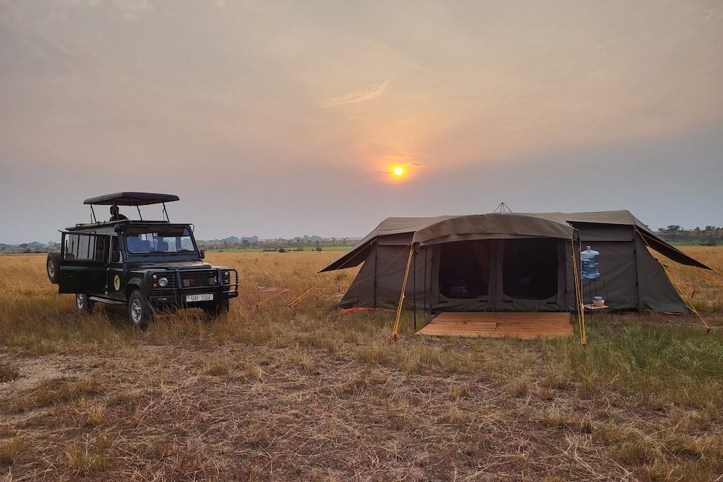 Glamping Spot Savanne im Abendlicht