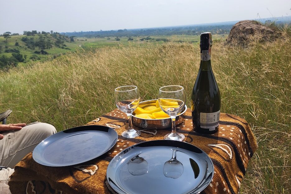 Glamping Picnic an der Ishasha Ridge