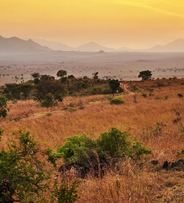 Kidepo Nationalpark 02