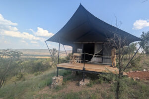 Gorilla Trekking in Rwanda mit Karenge Bush Camp auf Safari